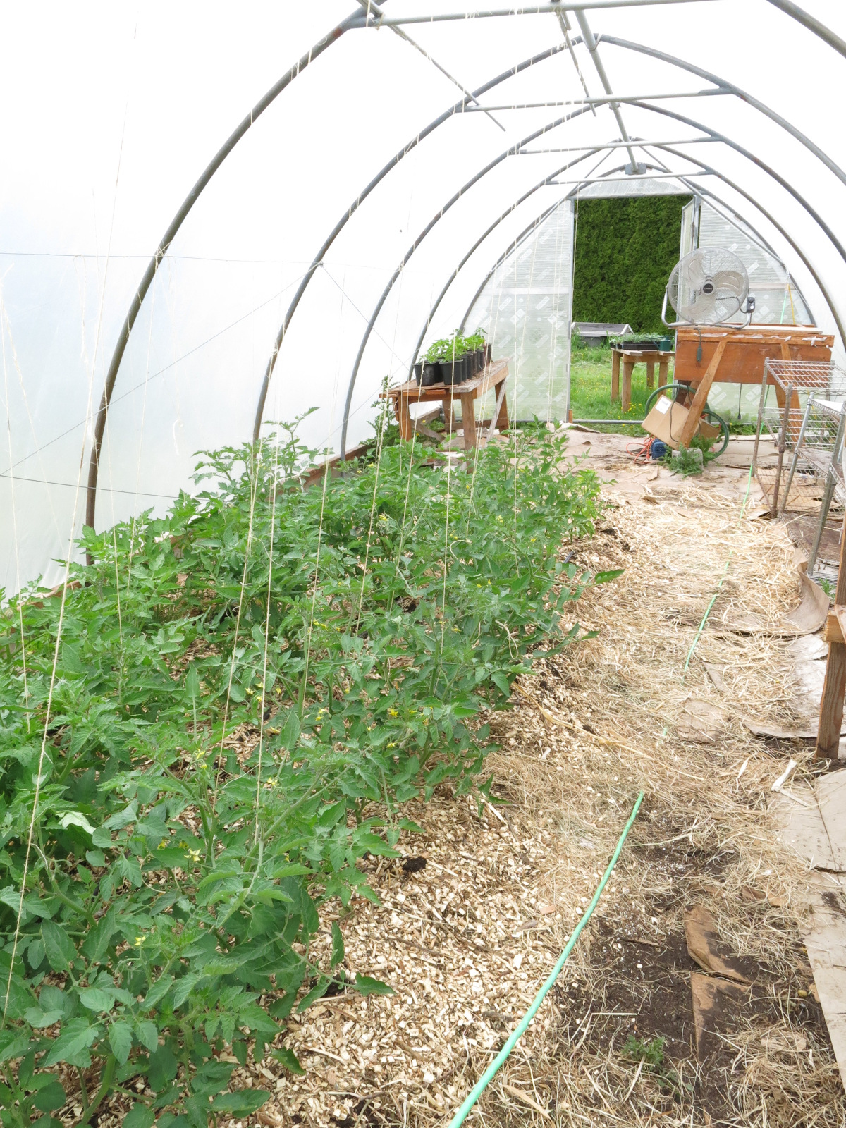 a picture of our greenhouse
